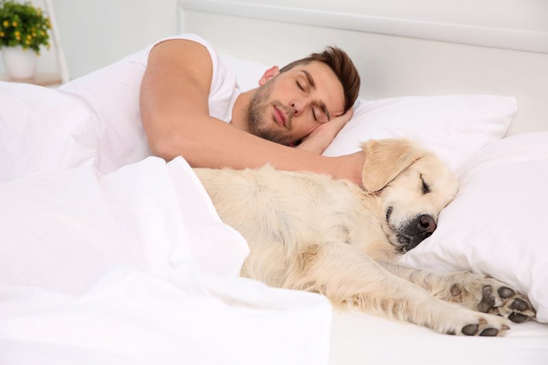 how is sleep apnea in dogs treated